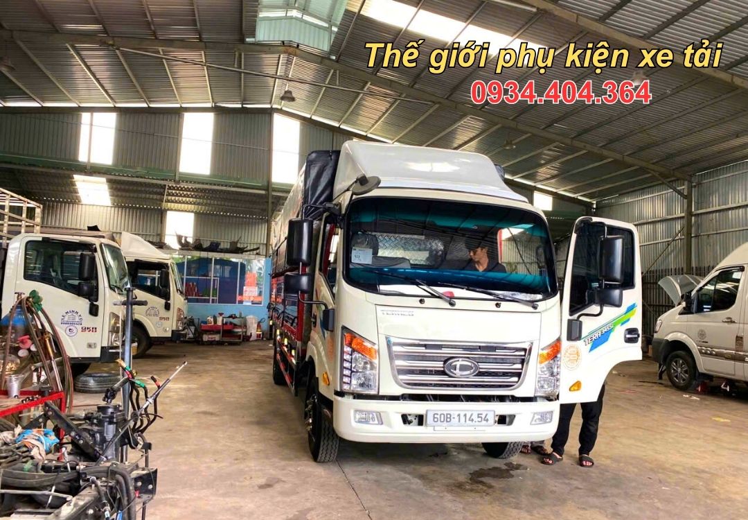 gia-mui-luot-gio-cac-loai