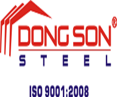 logo-dong-son-8d6fcd42-fd9e-4da6-8734-869e65b7f98f.png