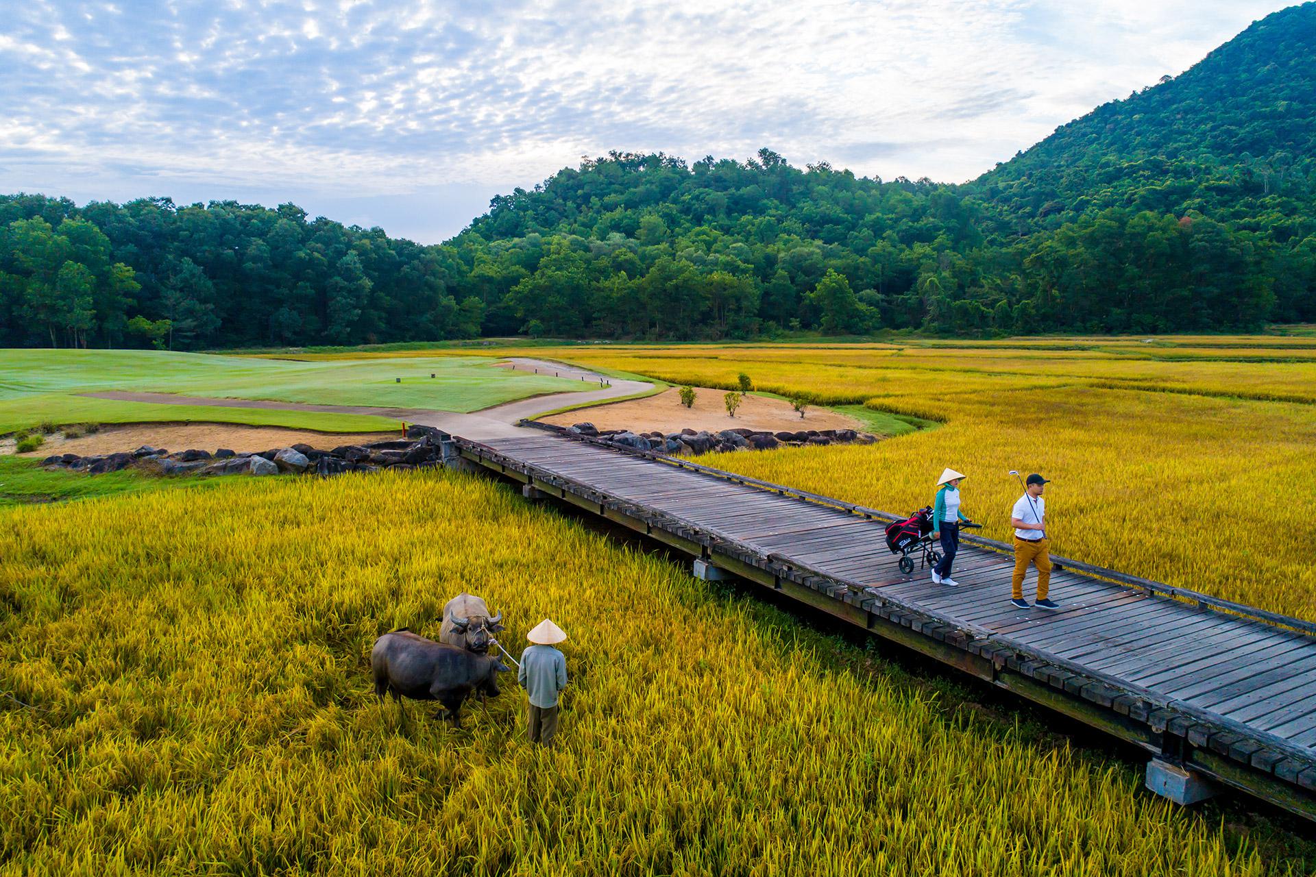 GIẢI GOLF LEXUS CHALLENGE 2019 SẼ ĐƯỢC KHỞI TRANH TẠI SÂN GOLF LAGUNA LĂNG CÔ, HUẾ