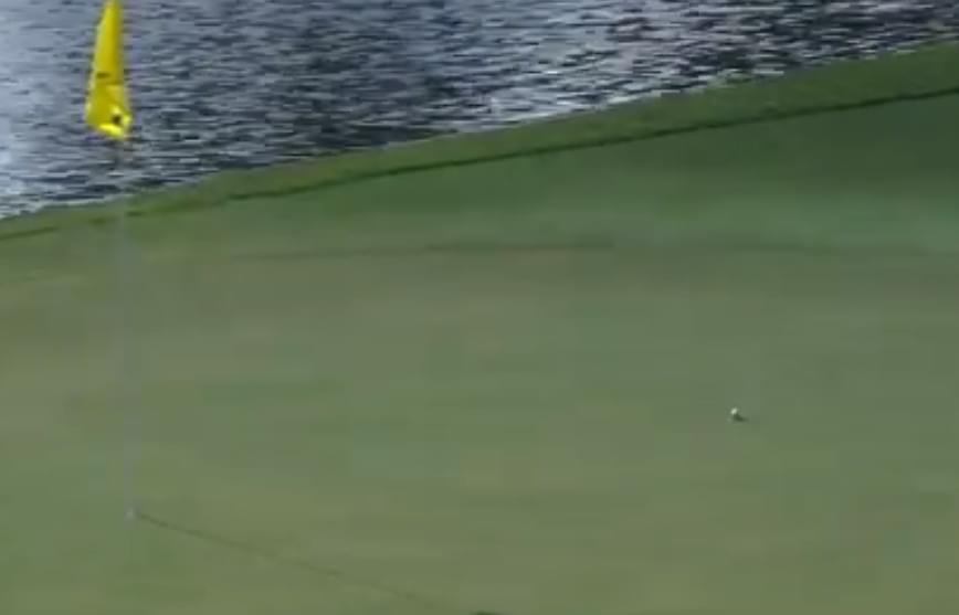 ALBATROSS ALBATROSS