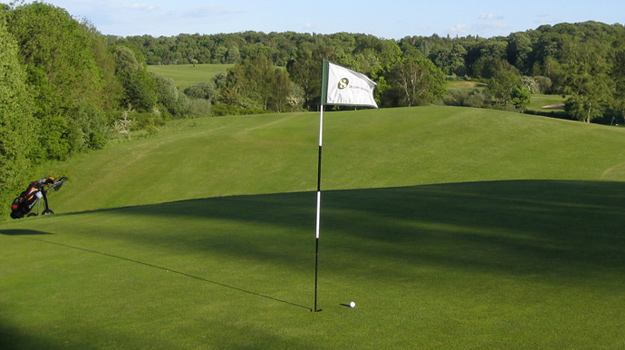 FAIRWAY FLAG - FAIRWAY MADE - FAIRWAY WOOD FAIRWAY FLAG - FAIRWAY MADE - FAIRWAY WOOD