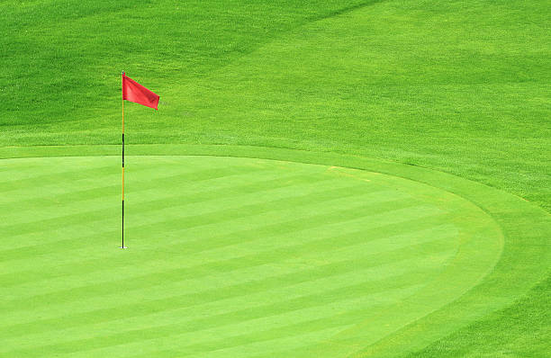 GREEN - GREEN FEE - GREEN IN REGULATION