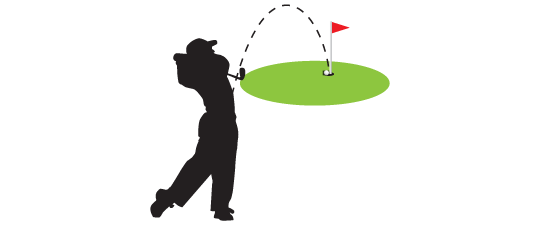 ACE hay Hole-in-One ACE hay Hole-in-One