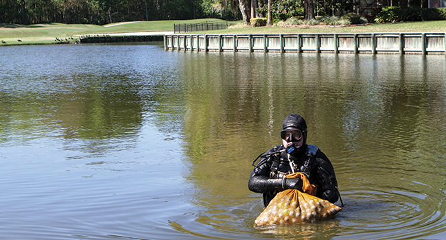 LAID OFF - LAKE BALL - LANCEWOOD