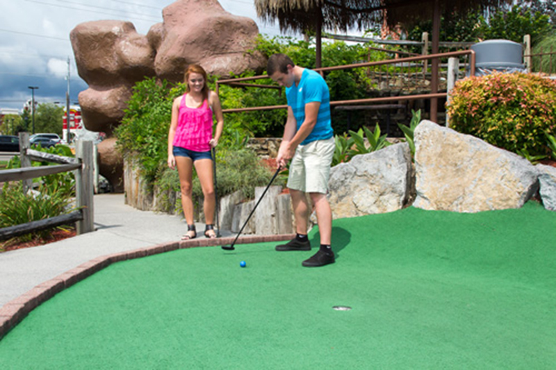 PICK UP AFTER PAR - PIGEON - PIN PICK UP AFTER PAR - PIGEON - PIN