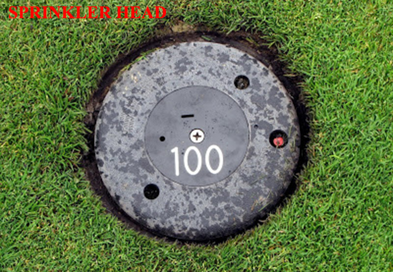 SPONSOR'S EXEMPTION - SPOON - SPRINKLER HEAD - SQUARE - ALL SQUARE