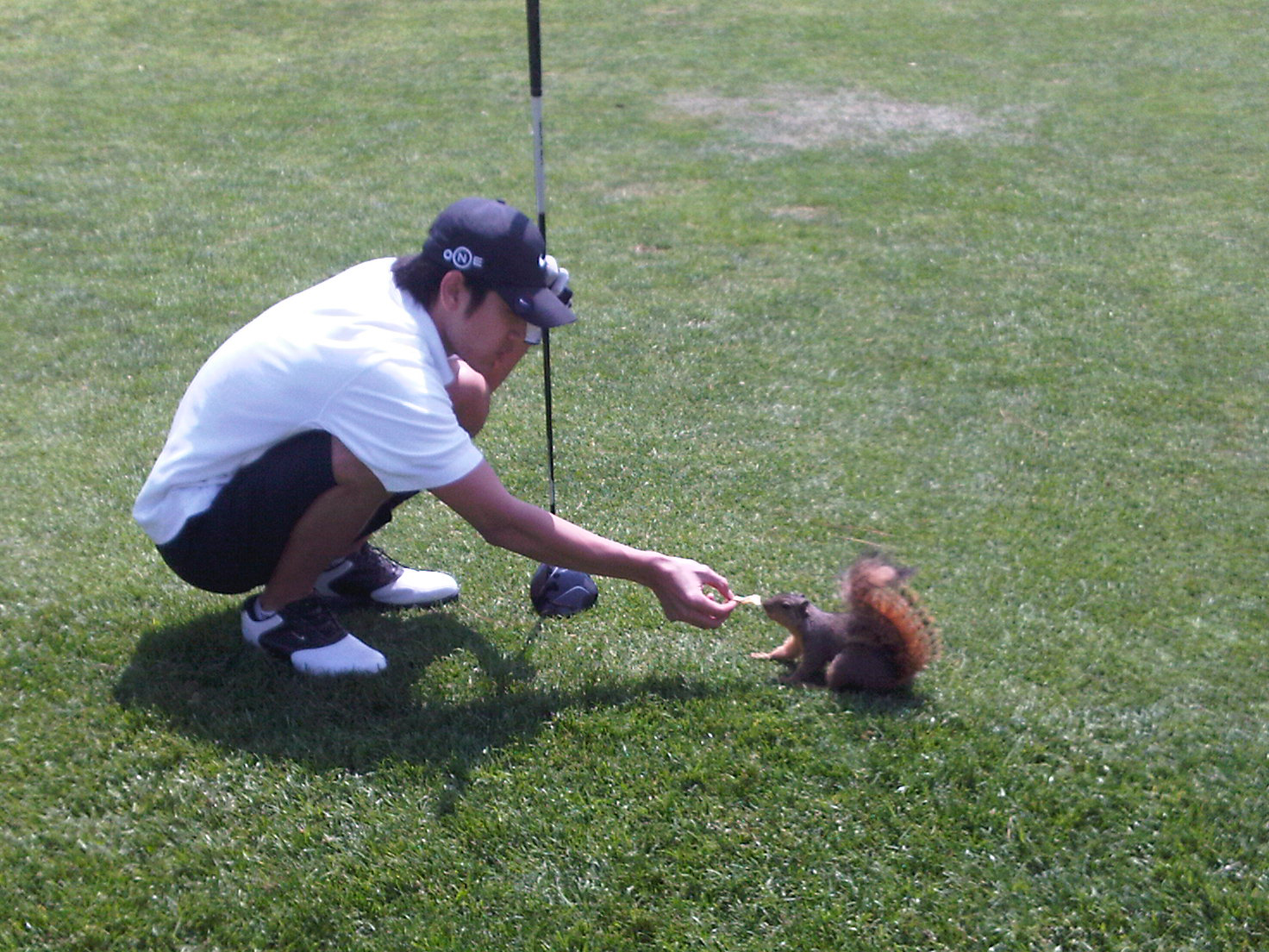 SQUARE GROOVE - SQUARE ON THE SCORE CARD - SQUARE STANCE  - SQUIRREL - STABLEFORD SCORING