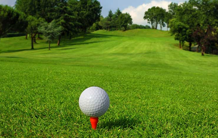 ZONE OUT - ZOYSIA - ZYLIN ZONE OUT - ZOYSIA - ZYLIN