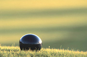black tee maker