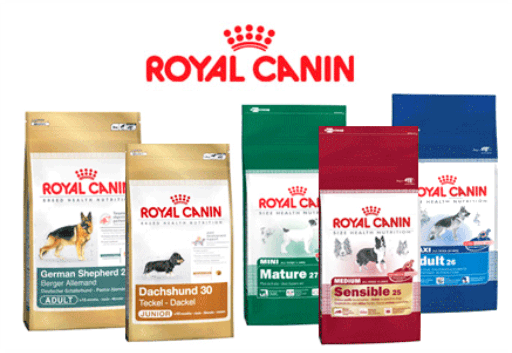Các loại thức ăn khô cho chó Royal Canin 4 Thức ăn khô cho chó Royal Canin