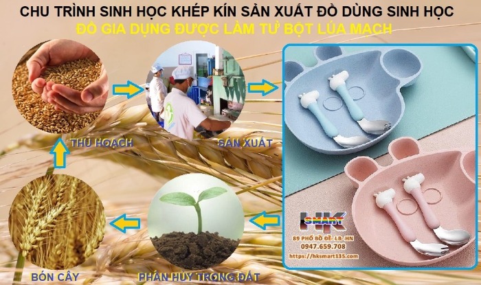 Khay ăn dặm lúa mạch kèm thìa dĩa hình heo peppa