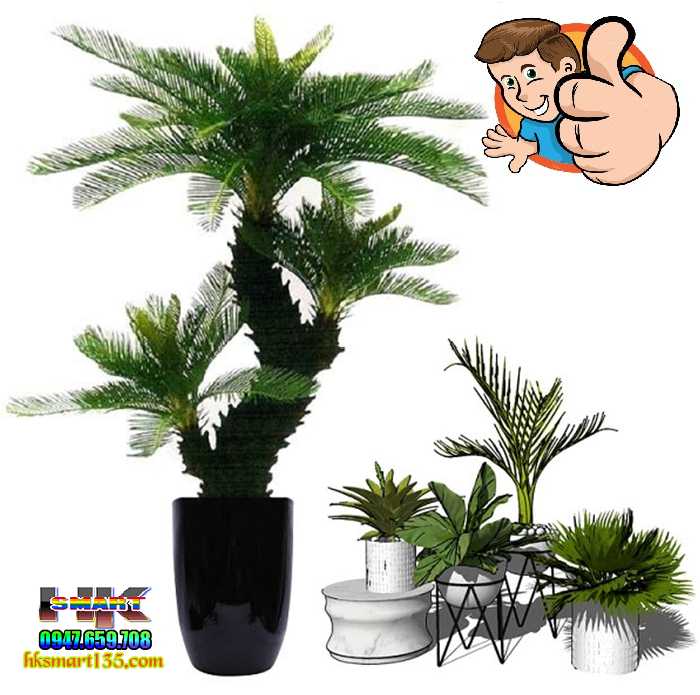 Cây thiên tuế- vạn tuế (cây giả) | HK.SMART SHOP Cây Thiên Tuế- Vạn Tuế (Cây Giả) | Hk.Smart Shop