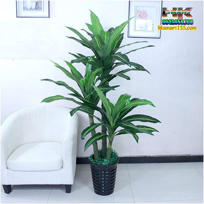 Cây thiết mộc lan (cây giả) | HK.SMART SHOP Cây Thiết Mộc Lan (Cây Giả) | Hk.Smart Shop