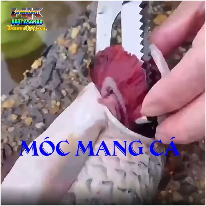 Dụng cụ đánh vảy mổ cá đa năng 2 trong 1