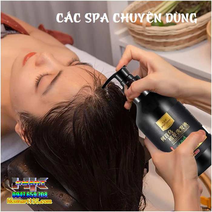 Dầu Gội Làm Đen Tóc Linh Chi Hà Thủ Ô ALICONUM MELI