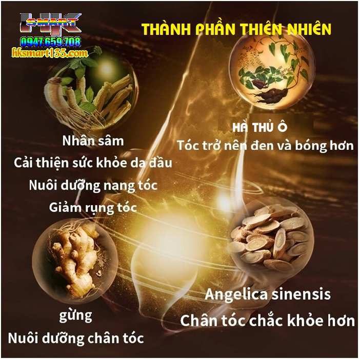 Dầu Gội Làm Đen Tóc Linh Chi Hà Thủ Ô ALICONUM MELI