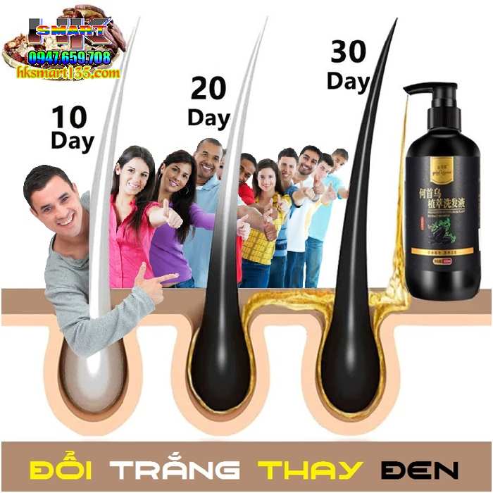 Dầu Gội Làm Đen Tóc Linh Chi Hà Thủ Ô ALICONUM MELI