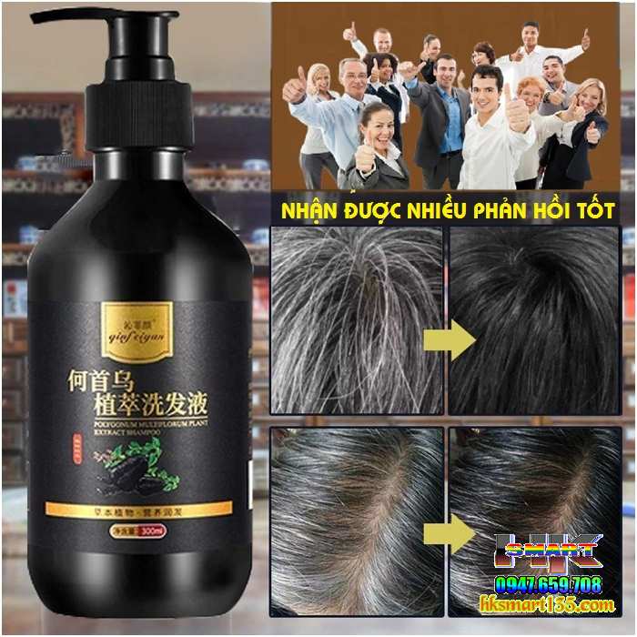 Dầu Gội Làm Đen Tóc Linh Chi Hà Thủ Ô ALICONUM MELI