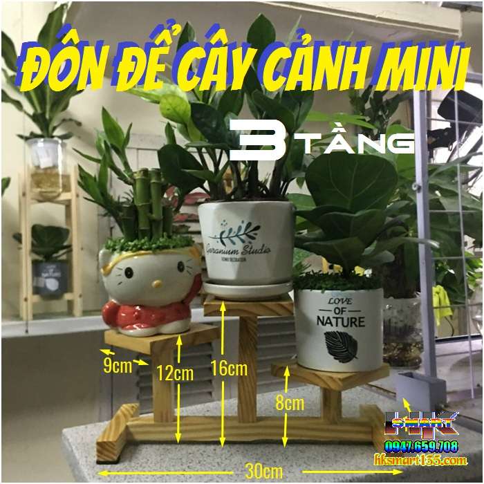 Đôn gỗ để chậu cây mini