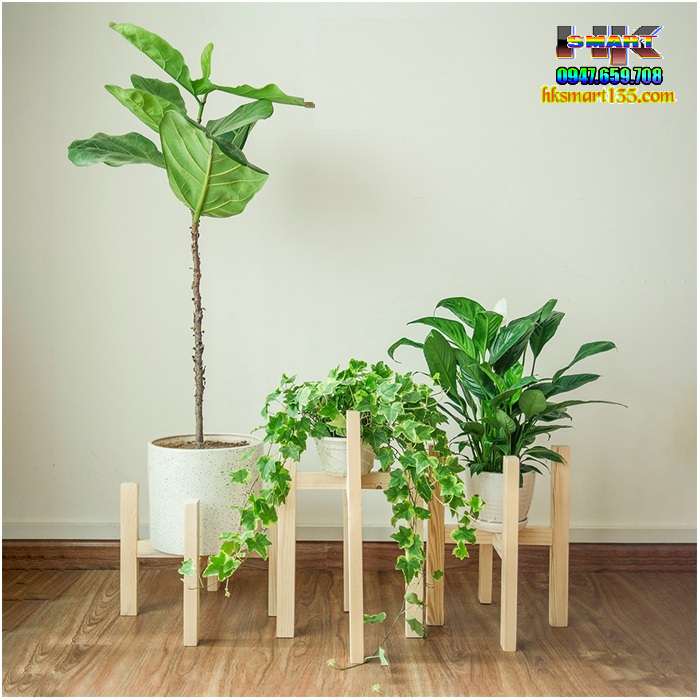Đôn Kệ Gỗ Để Chậu Hoa Cây Cảnh