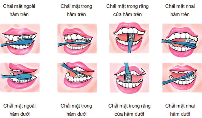 Bàn chải đánh răng Thái Lan nhập khẩu