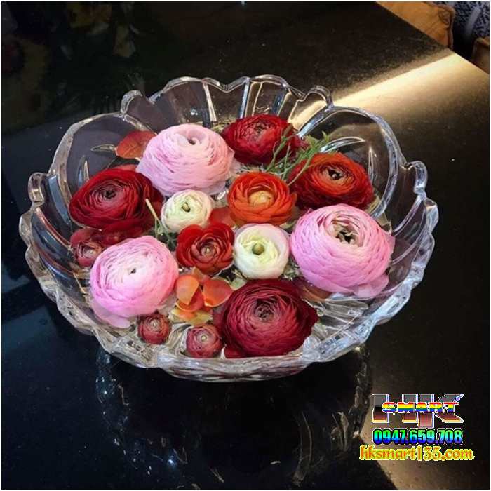 Thố thủy tinh để Hoa Quả- Bánh- Mứt- Kẹo