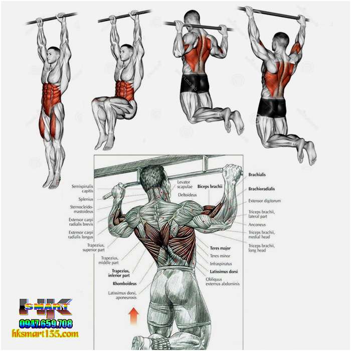 Xà Đơn Treo Tường Gắn Cửa