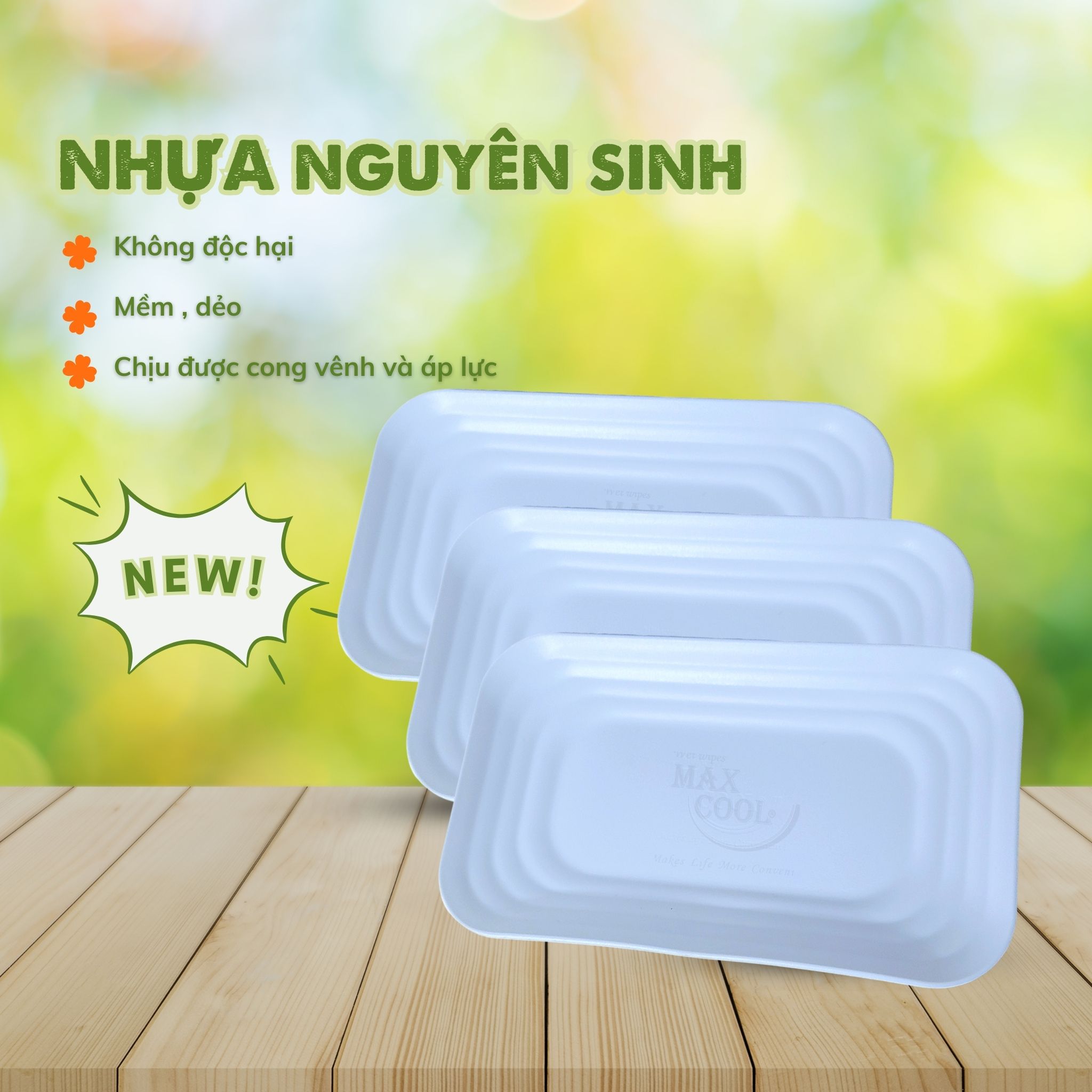10 DĨA NHỰA MAX COOL