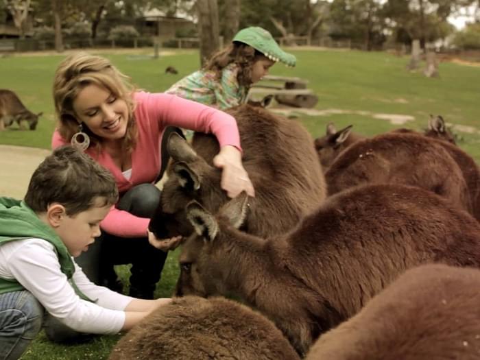 Wild park - Australia