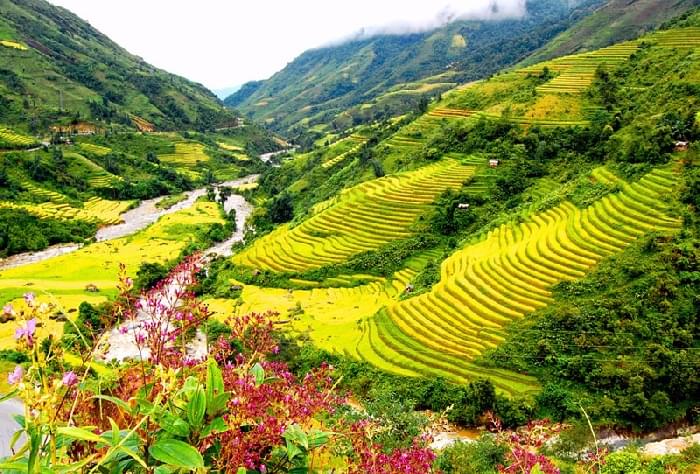 TOUR TỪ THÀNH PHỐ HCM ĐẾN MỘC CHÂU-SAPA GIÁ SIẾU BẤT NGỜ