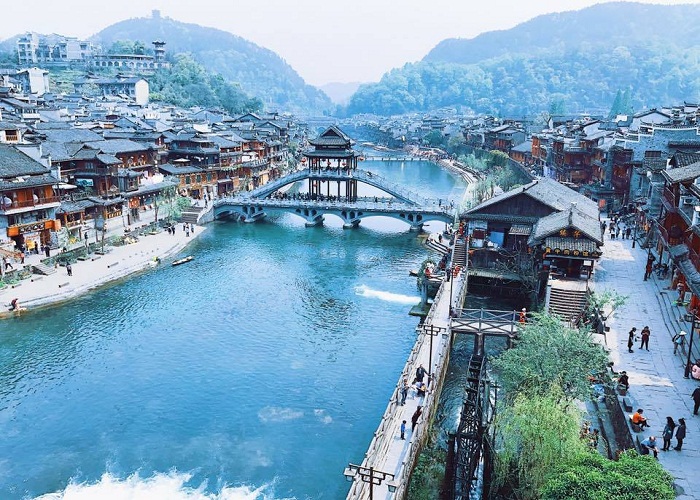 Kết quả hình ảnh cho Phượng hoà ng cỠtrấn