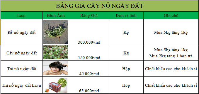 bang-gia-cay-no-ngay-dat
