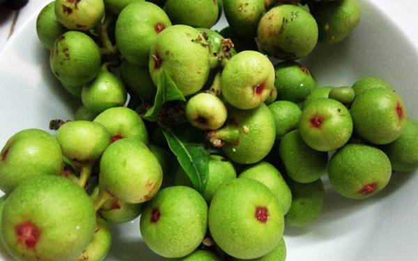 tác dụng của quả sung xanh