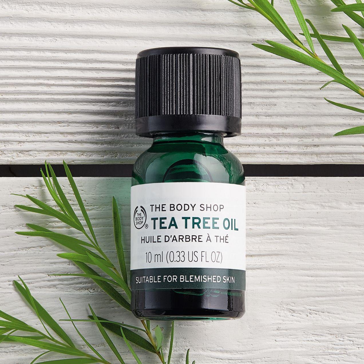 Kết quả hình ảnh cho Tinh dầu tràm trà trị mụn The Body Shop Tea Tree Oil