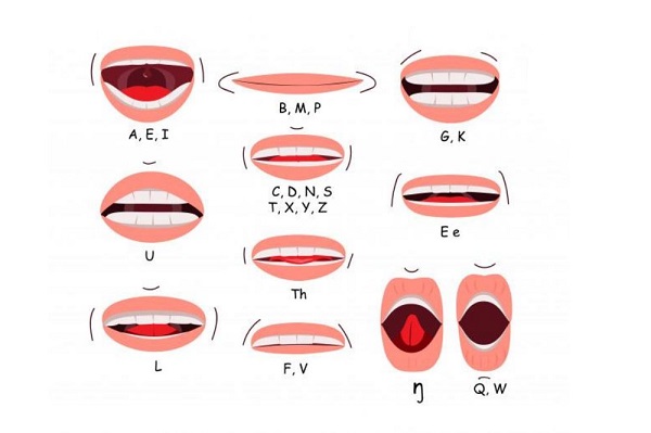 Bảng chữ cái IPA: Hướng dẫn cách phát âm chuẩn quốc tế