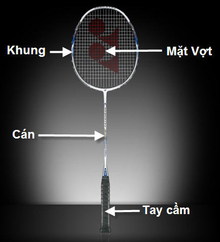 Mua vợt cầu lông tốt giá rẻ ở đâu?