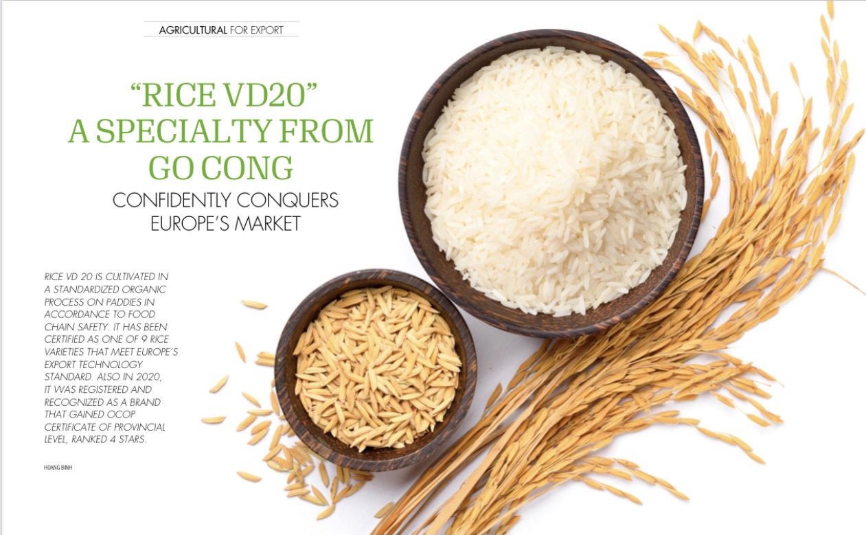 GẠO ĐẶC SẢN VD20 GÒ CÔNG TÚI 10KG