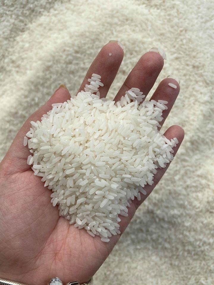 GẠO ĐẶC SẢN VD20 GÒ CÔNG - LÚA TÔM 2KG