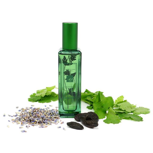 N c hoa Jo Malone Lavender Coriander 100 Authentic