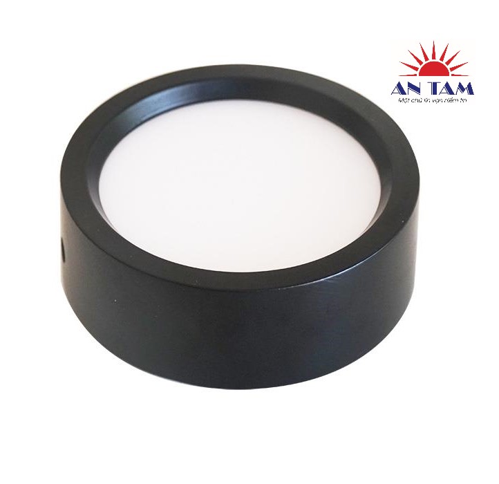 ĐÈN ỐP NỔI 12W