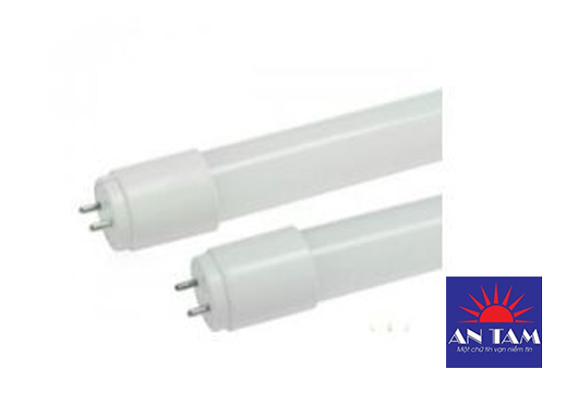 T8 Thủy tinh đầu nhựa