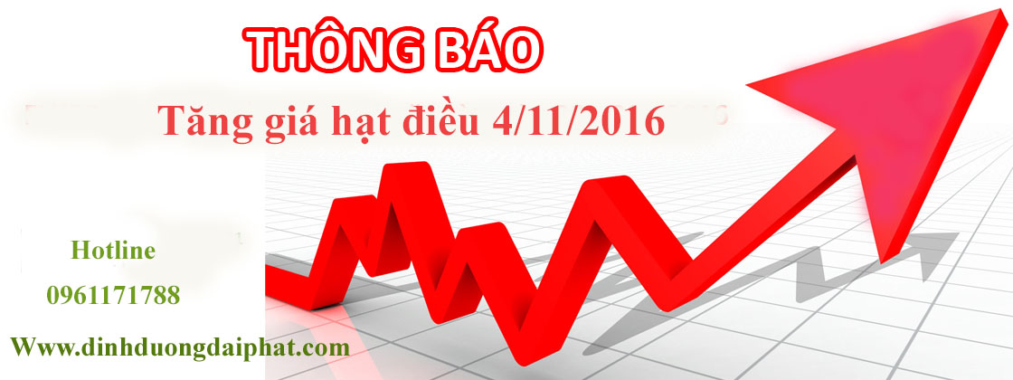 Báo giá bán lẻ hạt điều 4/11/2016