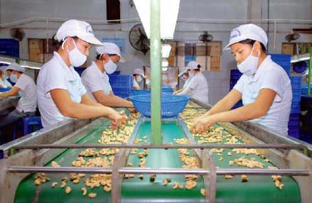 Mua hạt điều ở đâu ngon hà nội