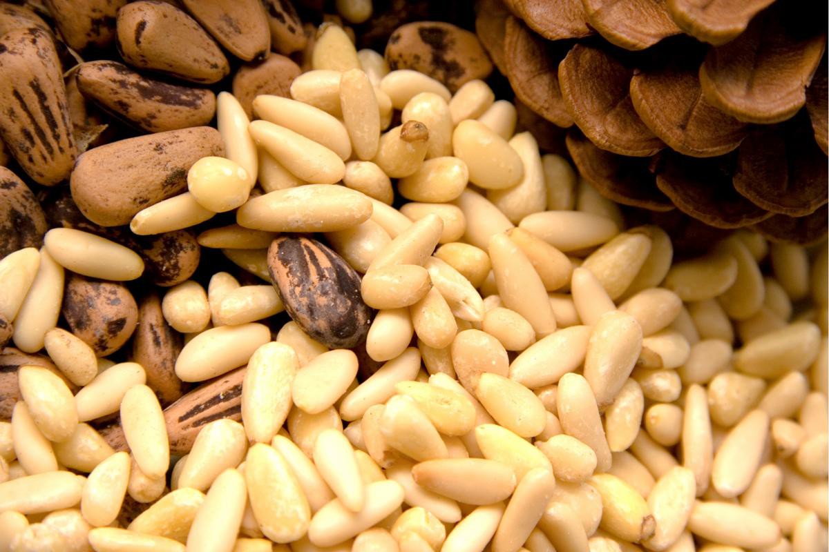 Tìm hiểu loại hạt thông dinh dưỡng - Hạt thông gồm có những sản phẩm gì trên thị trường?