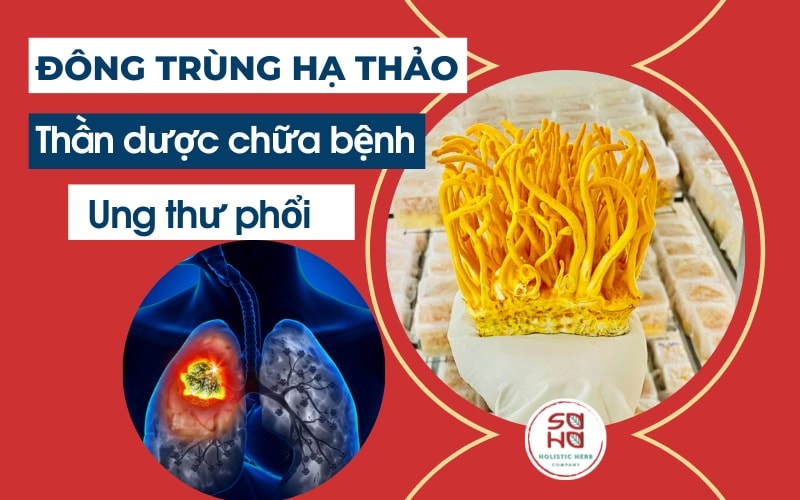 Người bệnh ung thư phổi có uống được đông trùng hạ thảo không?