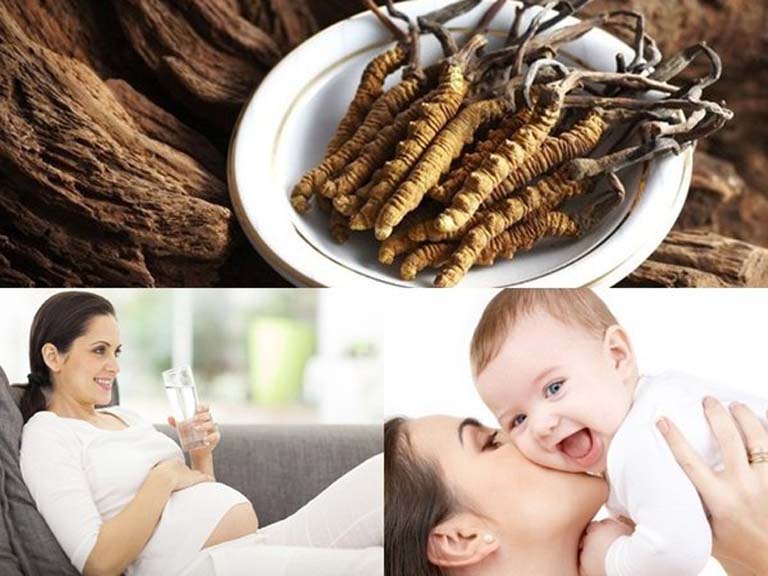 Đông trùng hạ thảo dùng cho đối tượng nào? Những ai không nên sử dụng? Lưu ý gì?
