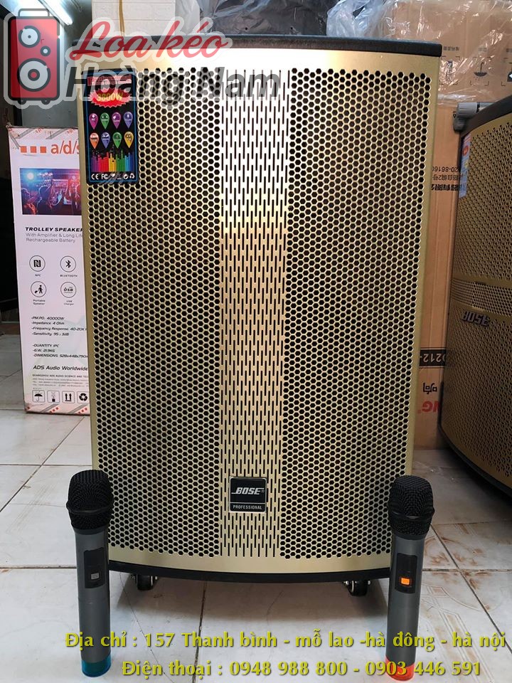 1. Giới thiệu về loa kéo karaoke