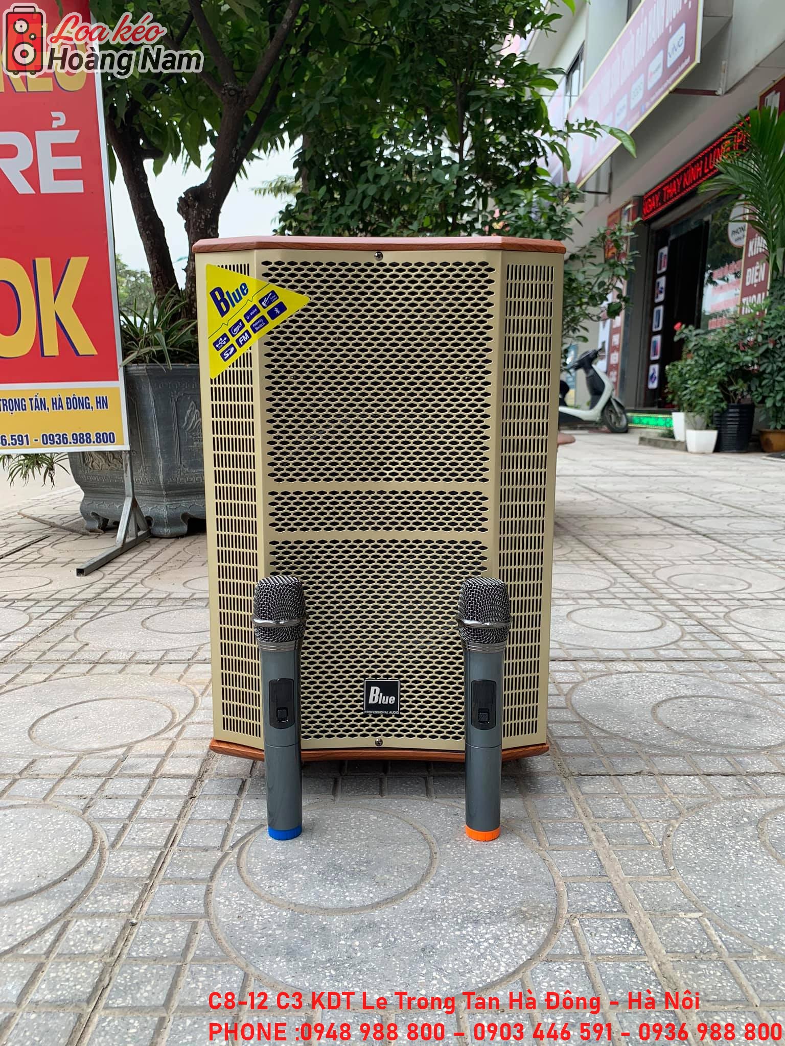 Loa kéo Blue B12 | Loa kéo giá rẻ tại Hà Nội | LOA KÉO HOÀNG NAM