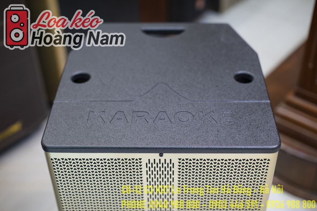 Loa kéo Temeisheng ED1519