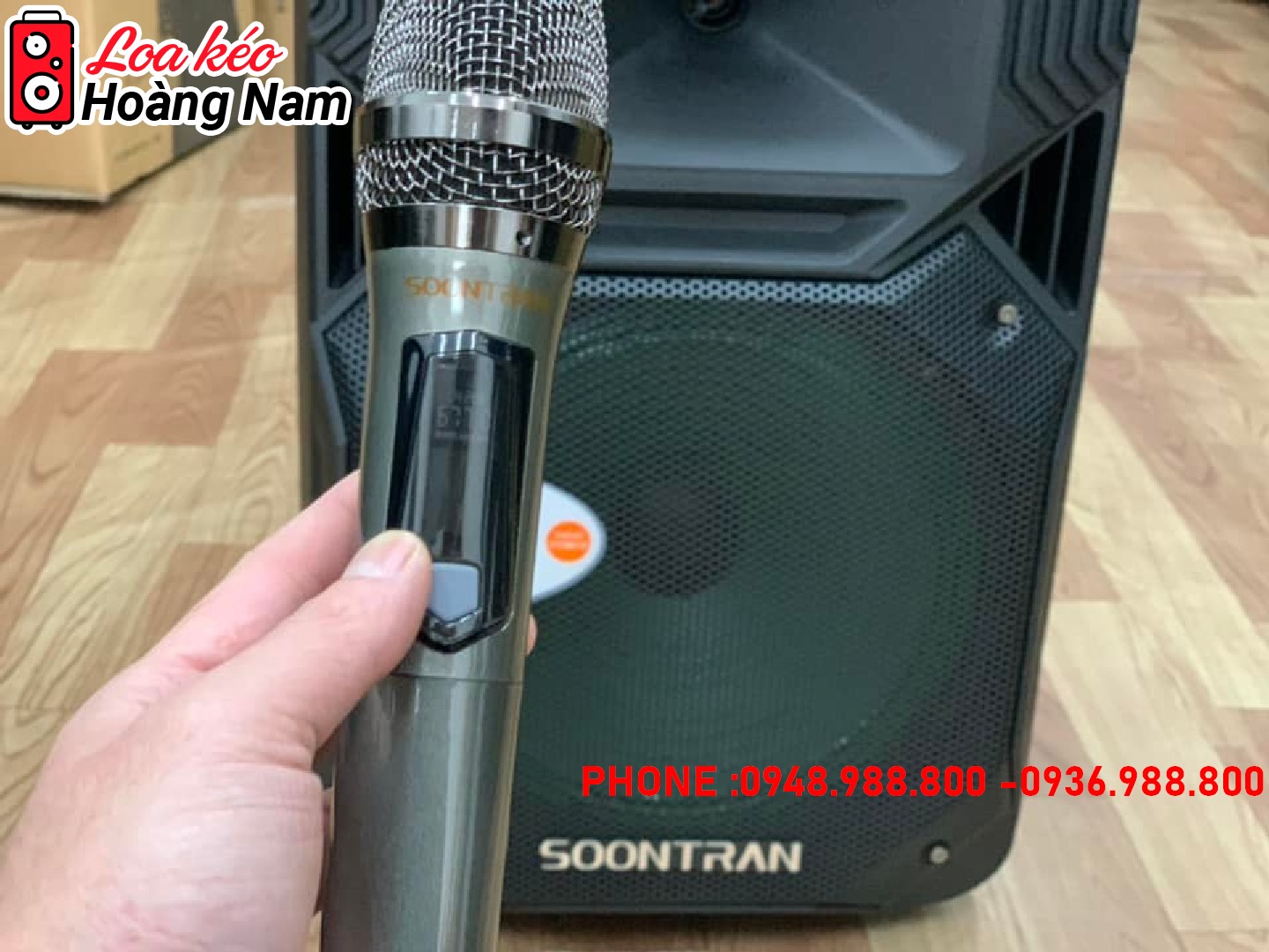 Loa kéo Soontran SS1-12 | Loa kéo chính hãng tại Hà Nội | LOA KÉO ...